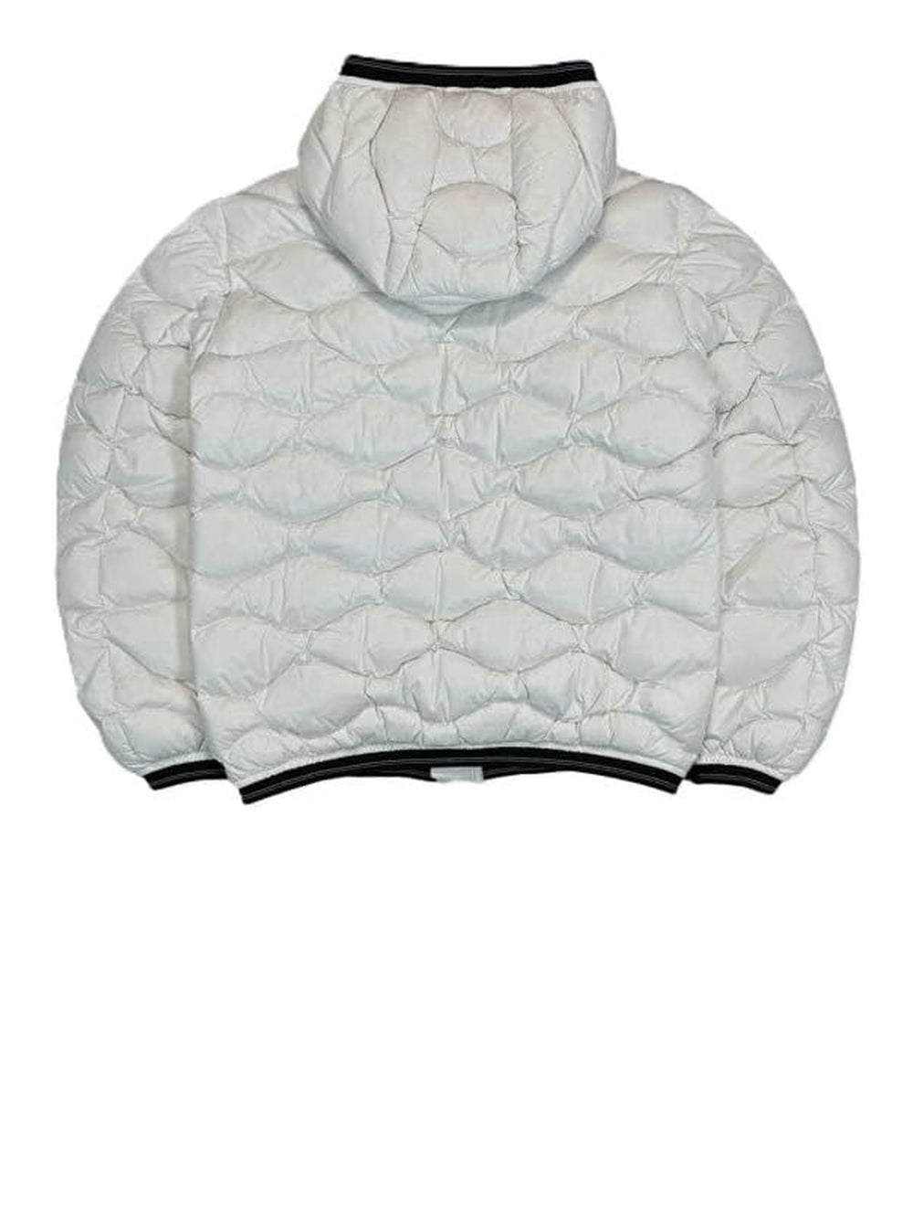 Giubbotto Blauer Jr Bambino Brinton Bianco Blauer Angolo dello Sport