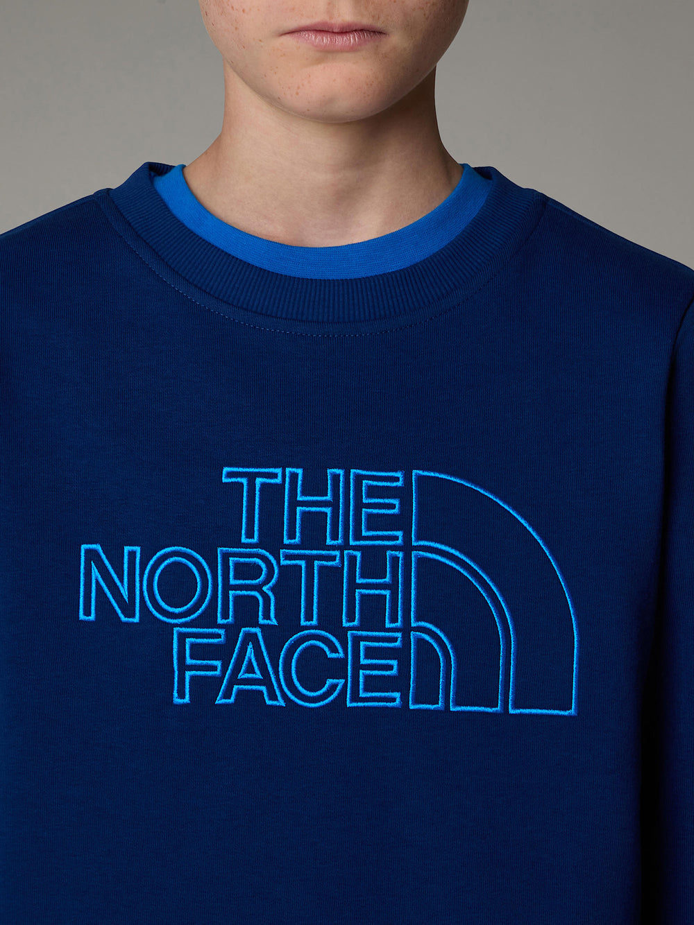 Felpa The North Face Drew Peak Light Crew Uomo - Blu