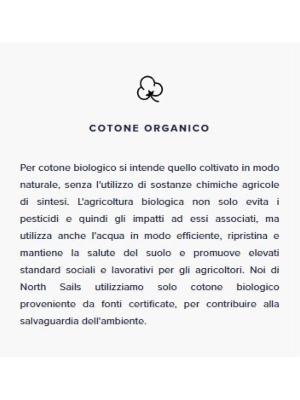 Felpa North Sails Uomo - Verde