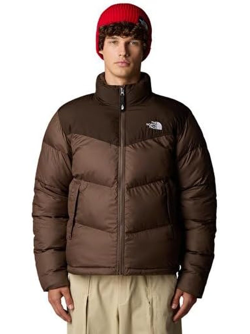 Giubbotto The North Face Uomo - Marrone