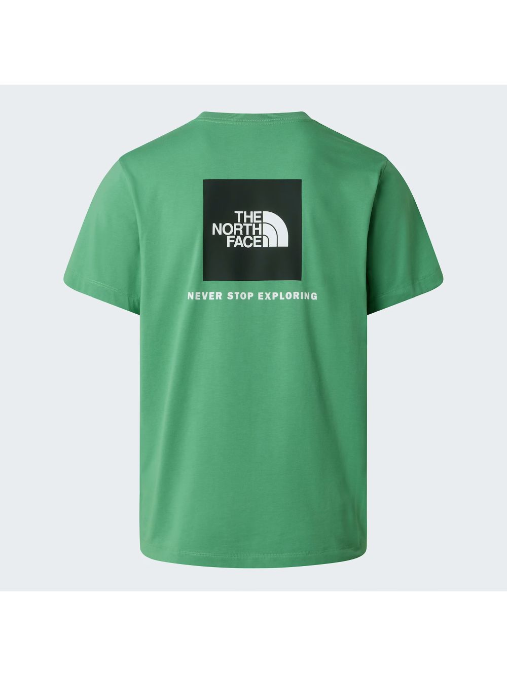 T-shirt The North Face EVOLUTION BOX NSE REGULAR SHORT SLEEVE Uomo - Verde