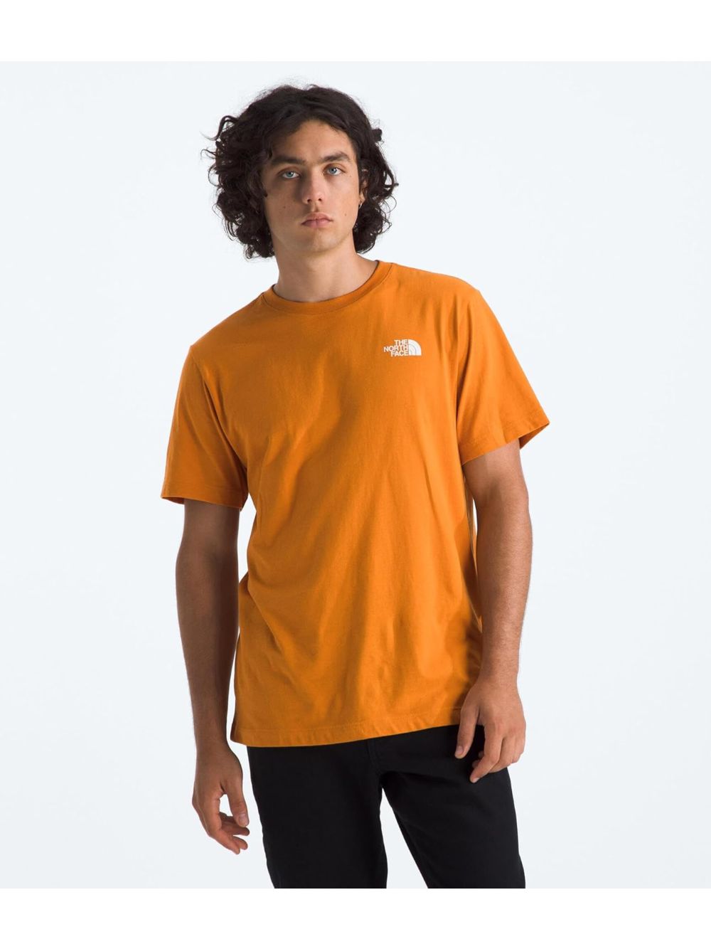 T-shirt The North Face EVOLUTION BOX NSE REGULAR SHORT SLEEVE Uomo - Arancione