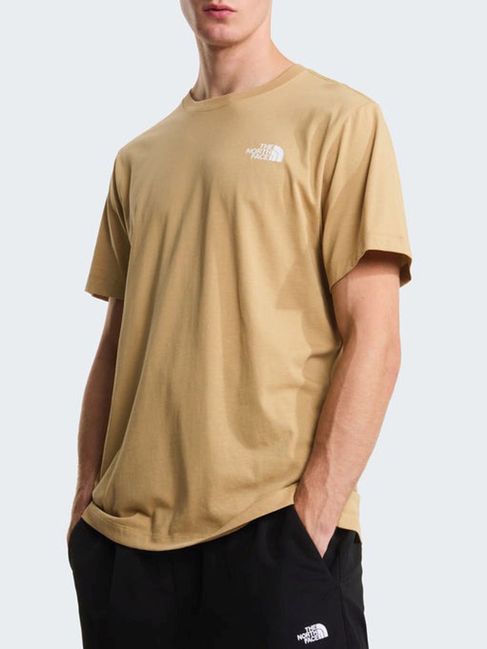 T-shirt The North Face EVOLUTION BOX NSE REGULAR SHORT SLEEVE Uomo - Beige
