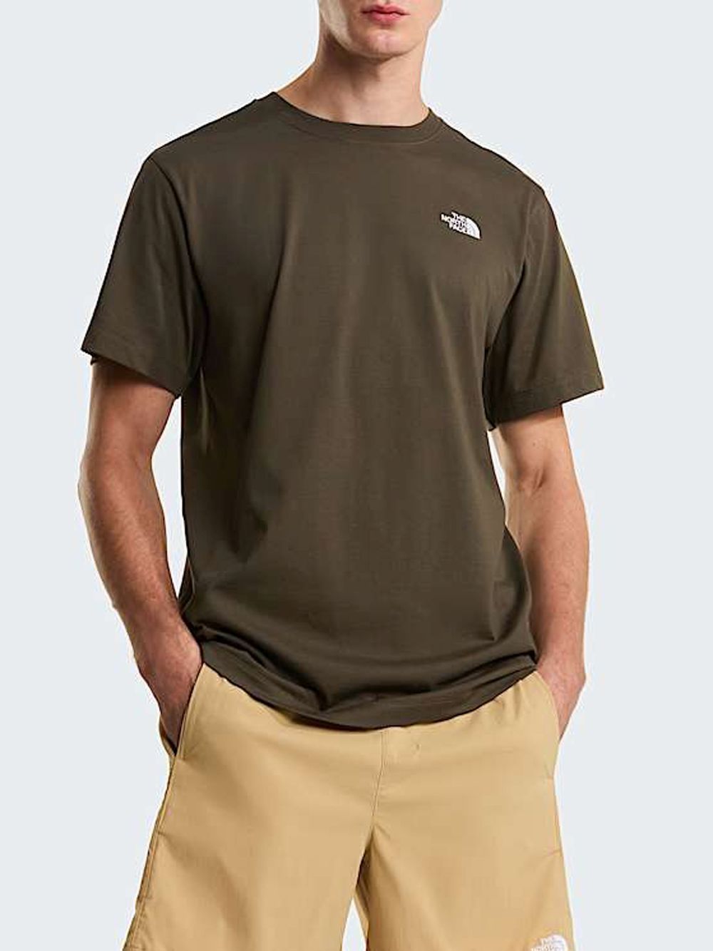 T-shirt The North Face EVOLUTION SIMPLE DOME REGULAR SHORT SL Uomo - Verde