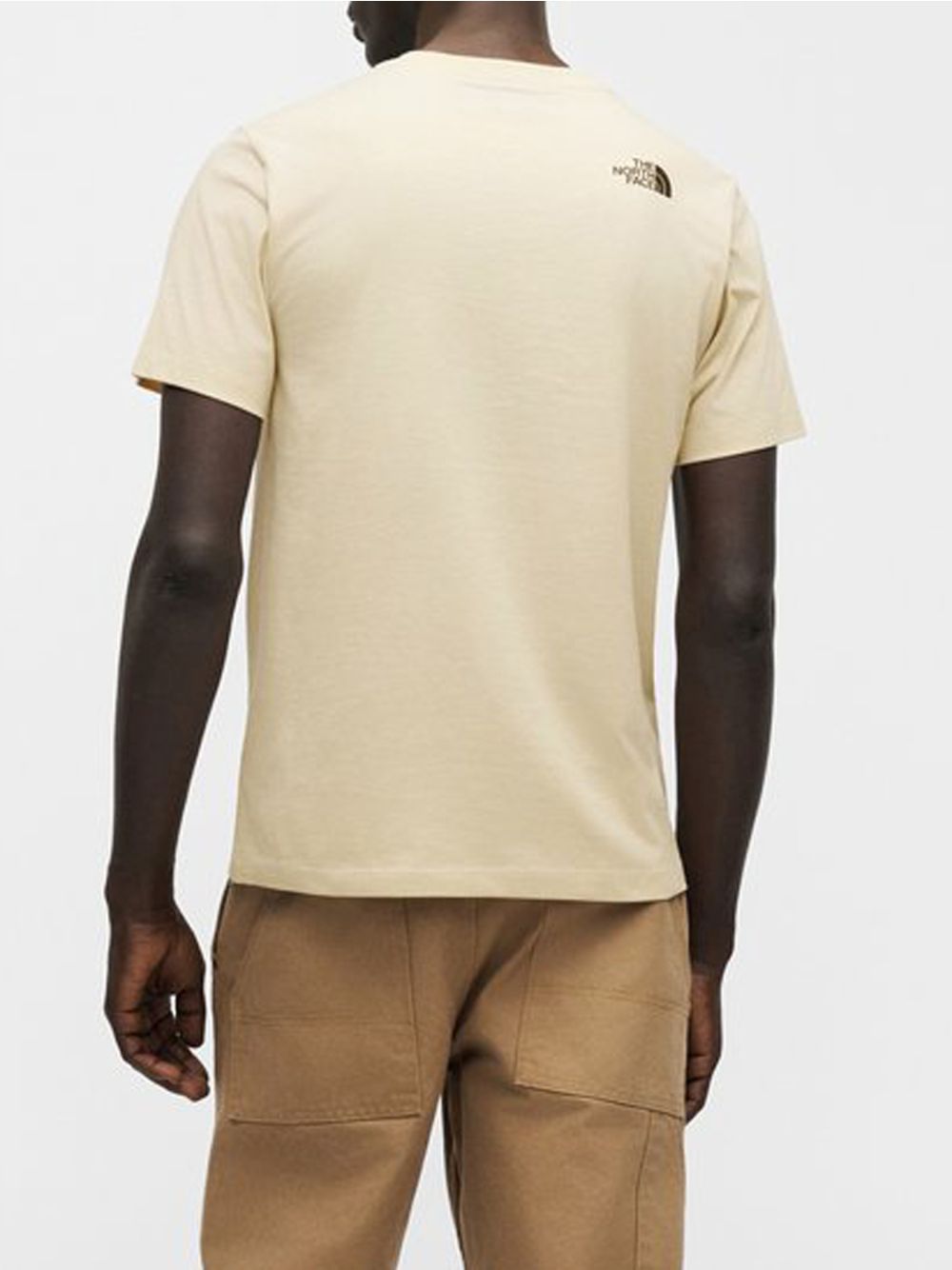 T-shirt The North Face EVOLUTION BOX HALF DOME REGULAR SHORT Uomo - Avorio