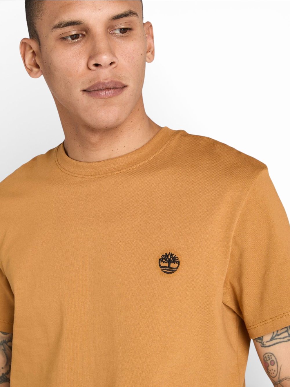 T-shirt Timberland Dunstan River Uomo - Arancione