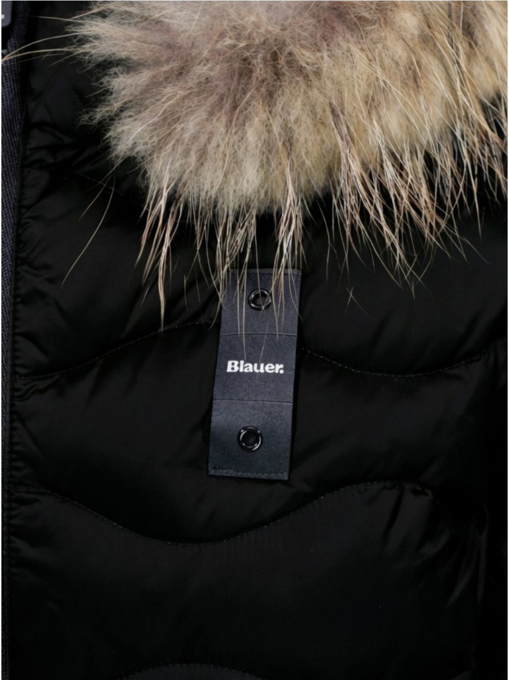 Piumino Blauer ALDIE Donna - Nero