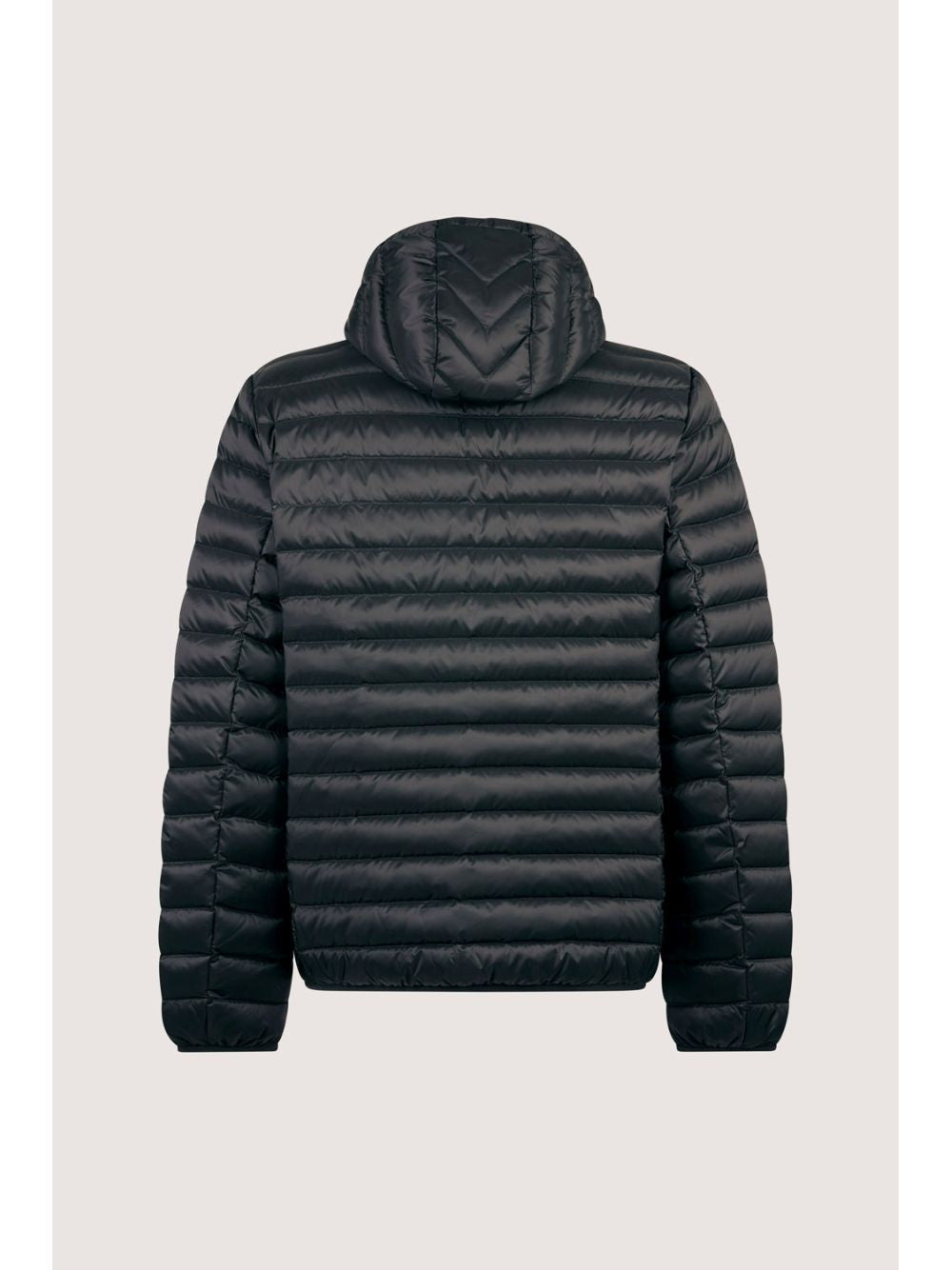 Piumino Ciesse Piumini FRANKLIN 3.0 Uomo - Nero
