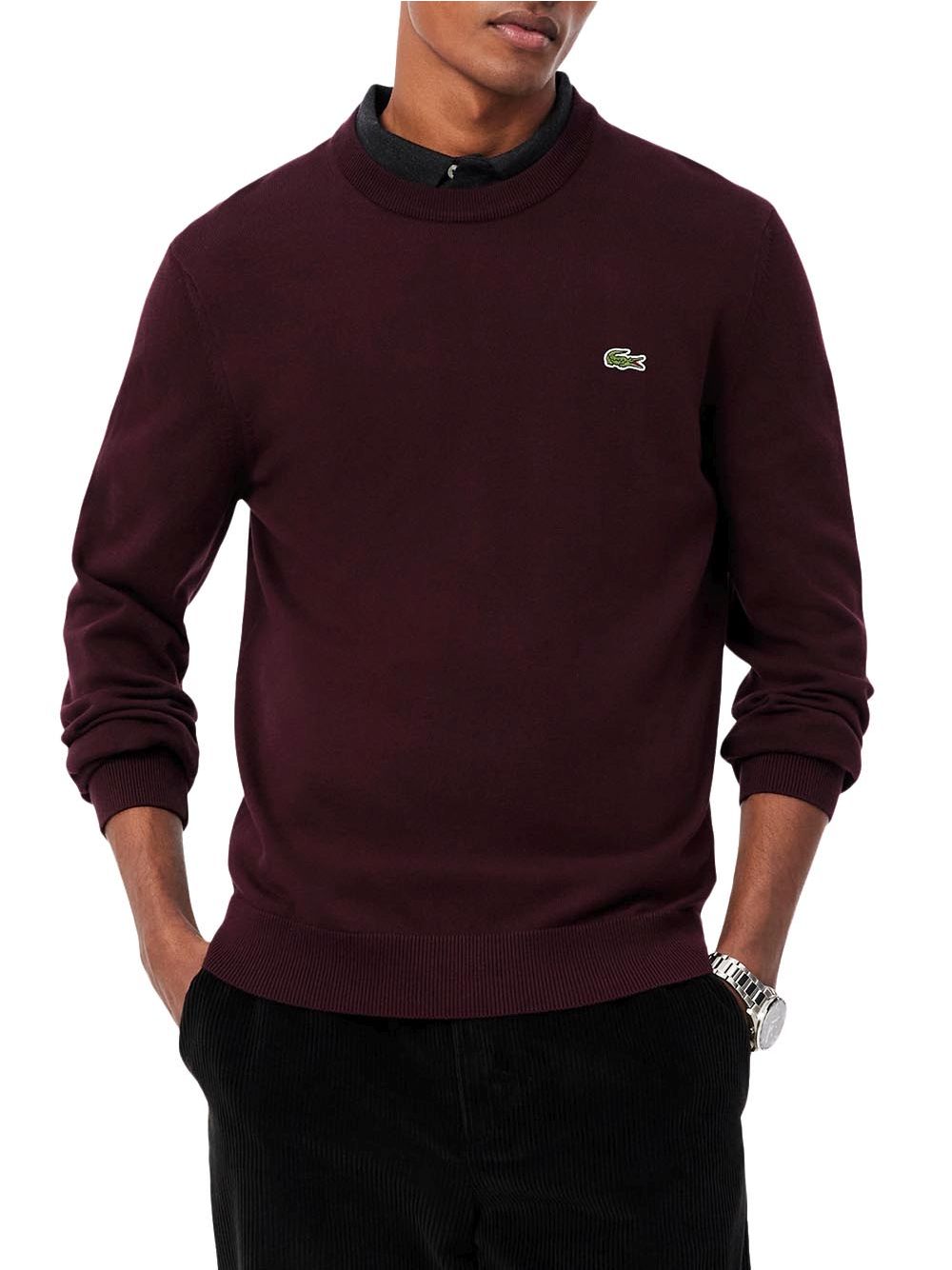 Pullover Lacoste Uomo - Bordeaux