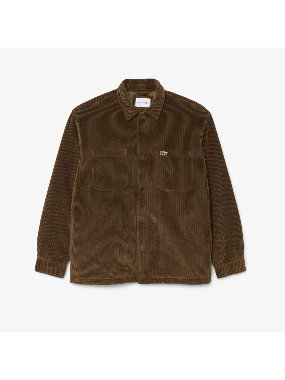 Camicia Lacoste Uomo - Marrone