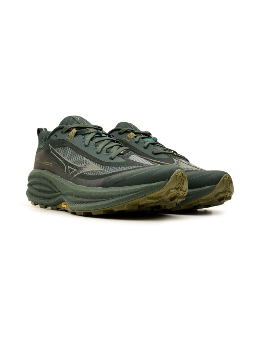 Scarpe Running Mizuno NEO DAICHI 10 GTX Uomo - Verde