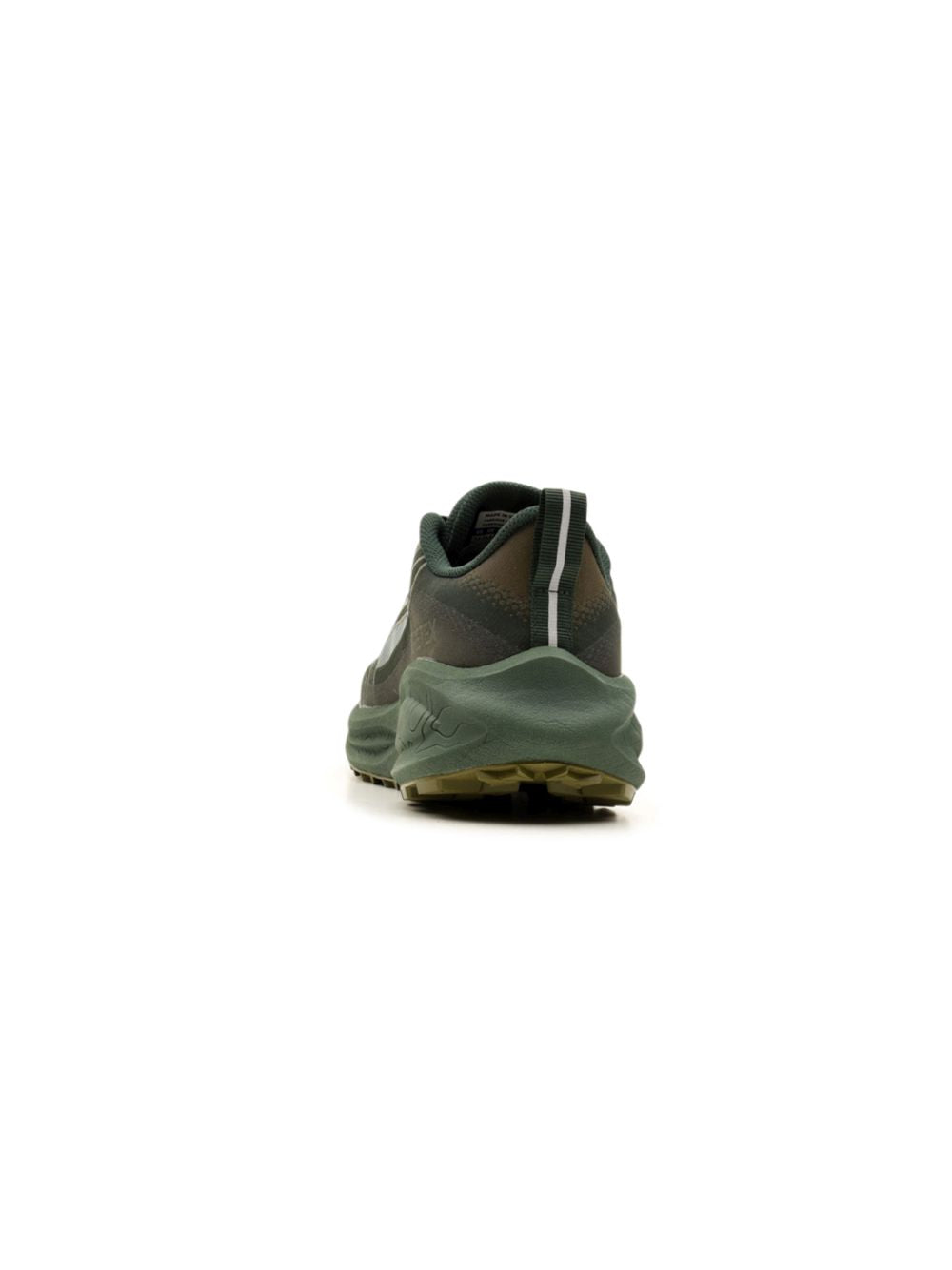 Scarpe Running Mizuno NEO DAICHI 10 GTX Uomo - Verde