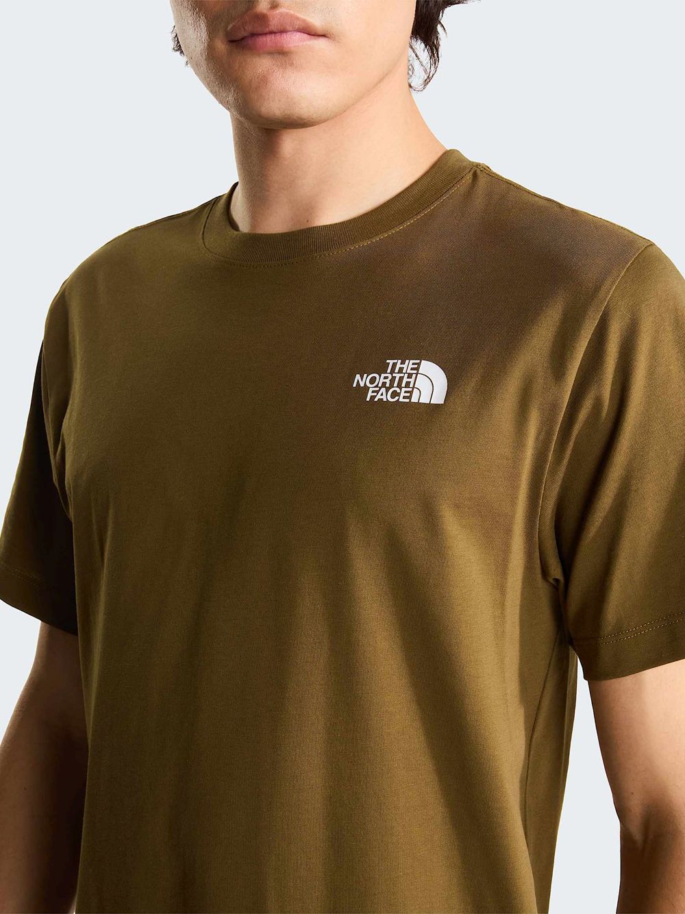 T-shirt The North Face EVO BOX NSE RE Uomo - Marrone