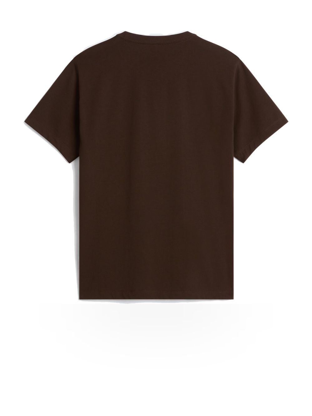 T-shirt The North Face EVO SD REG SS Uomo - Marrone