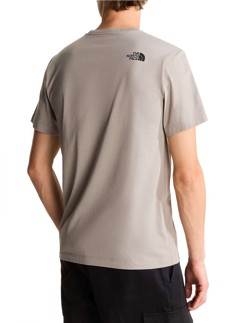 T-shirt The North Face EVO BOX HD RG Uomo - Beige