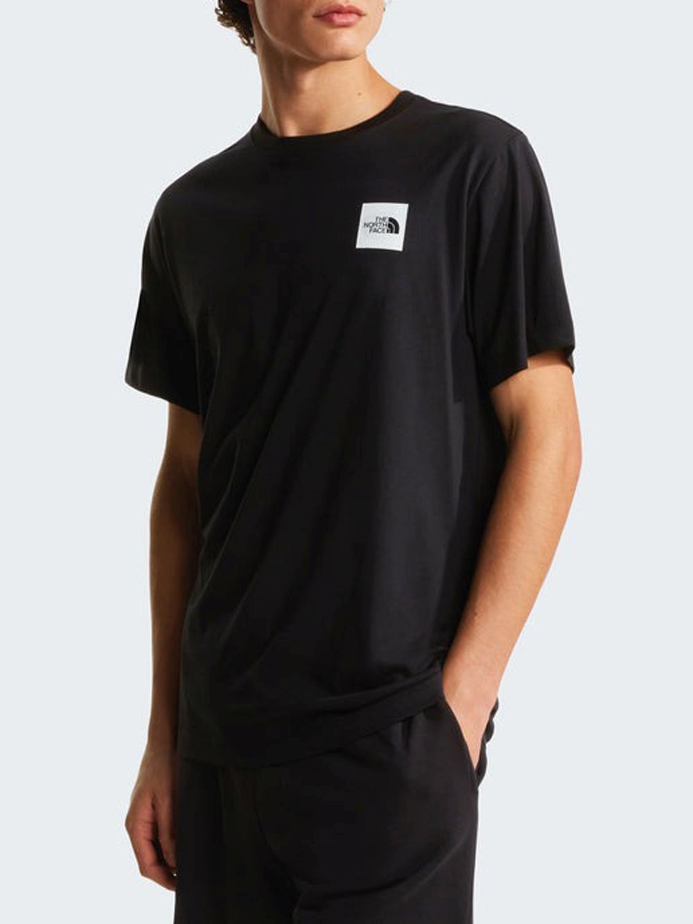 T-shirt The North Face EVO BOX HD RG Uomo - Nero