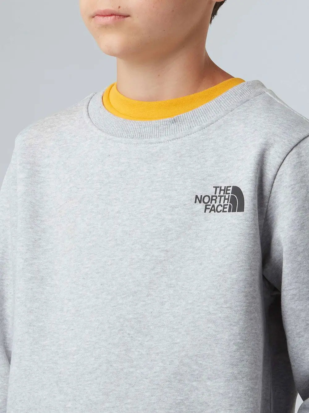 Felpa The North Face Unisex Bambino - Grigio