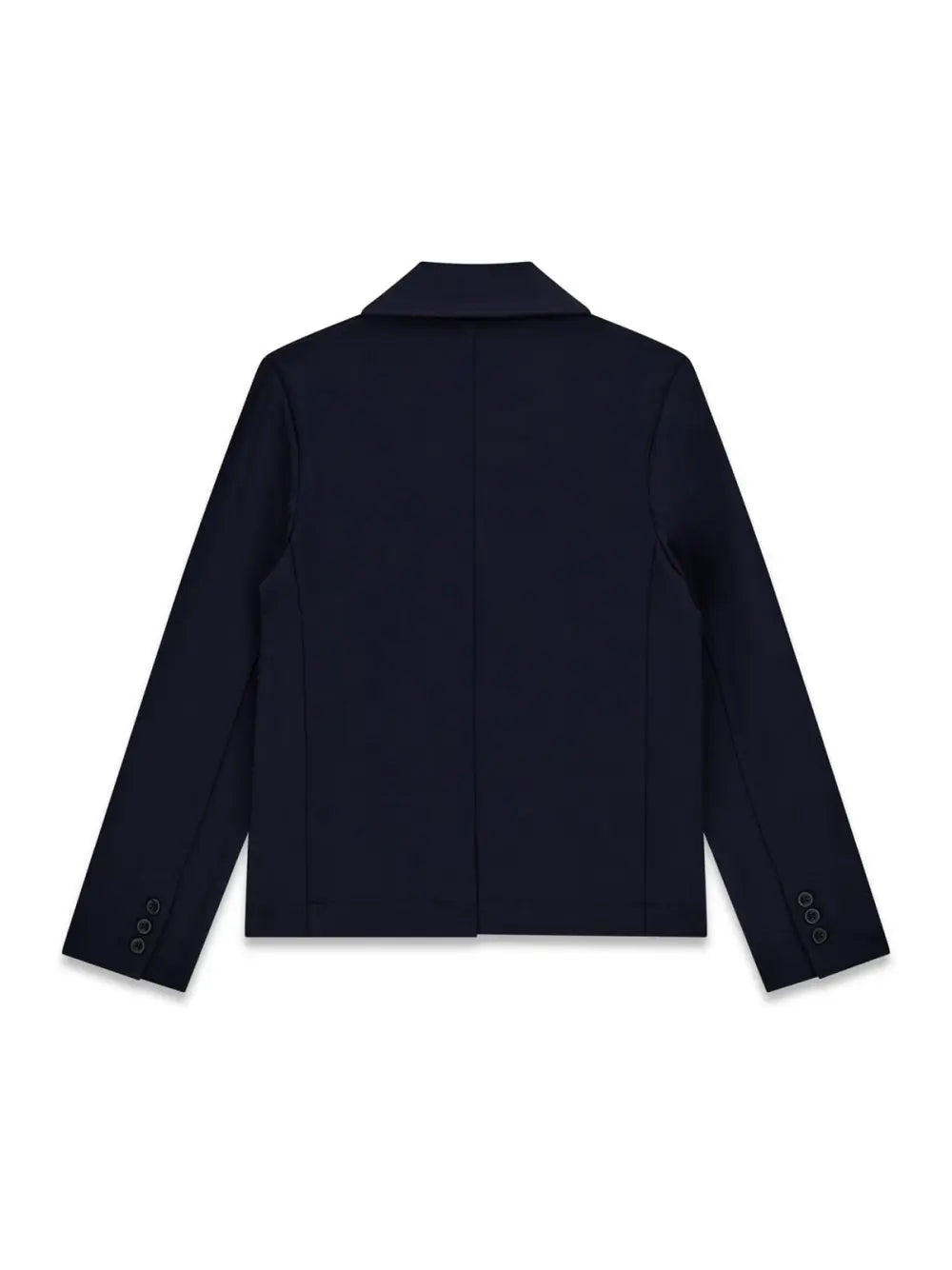 Giacca Guess PUNTO MILANO LS BLAZER Monaco Ponte Bambino - Blu