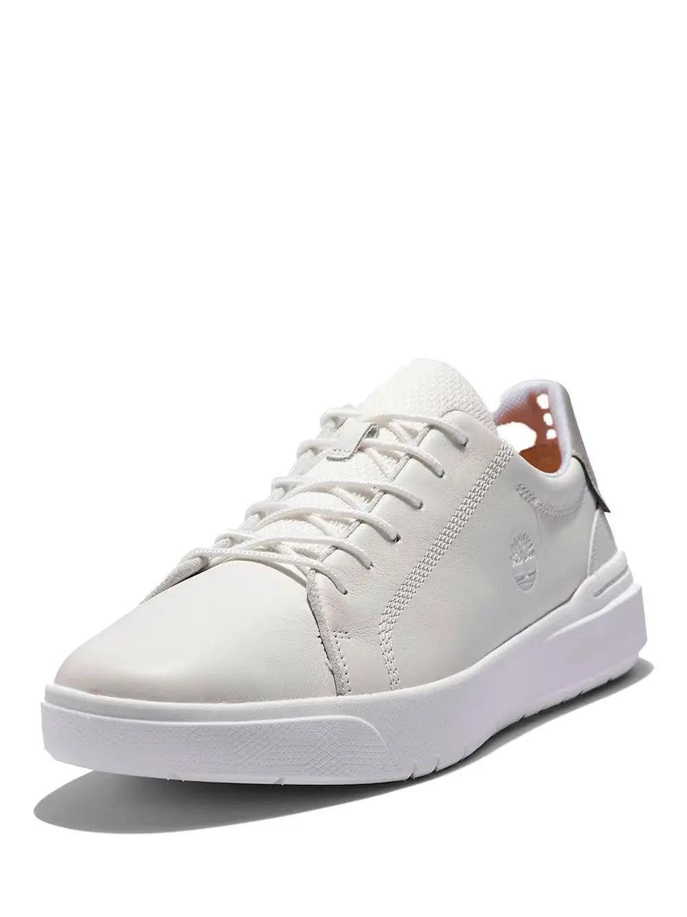 Sneakers Seneca Bay Timberland Uomo