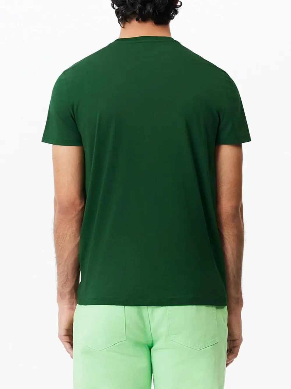 T-Shirt Lacoste Uomo - Verde