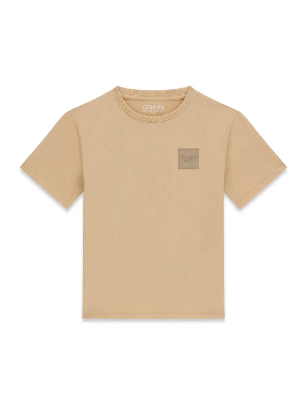 T-shirt Guess CEREMONY Bambino - Marrone