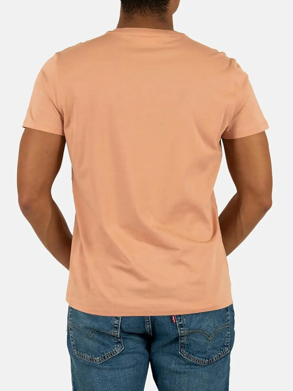 T-shirt Lacoste Uomo - Beige