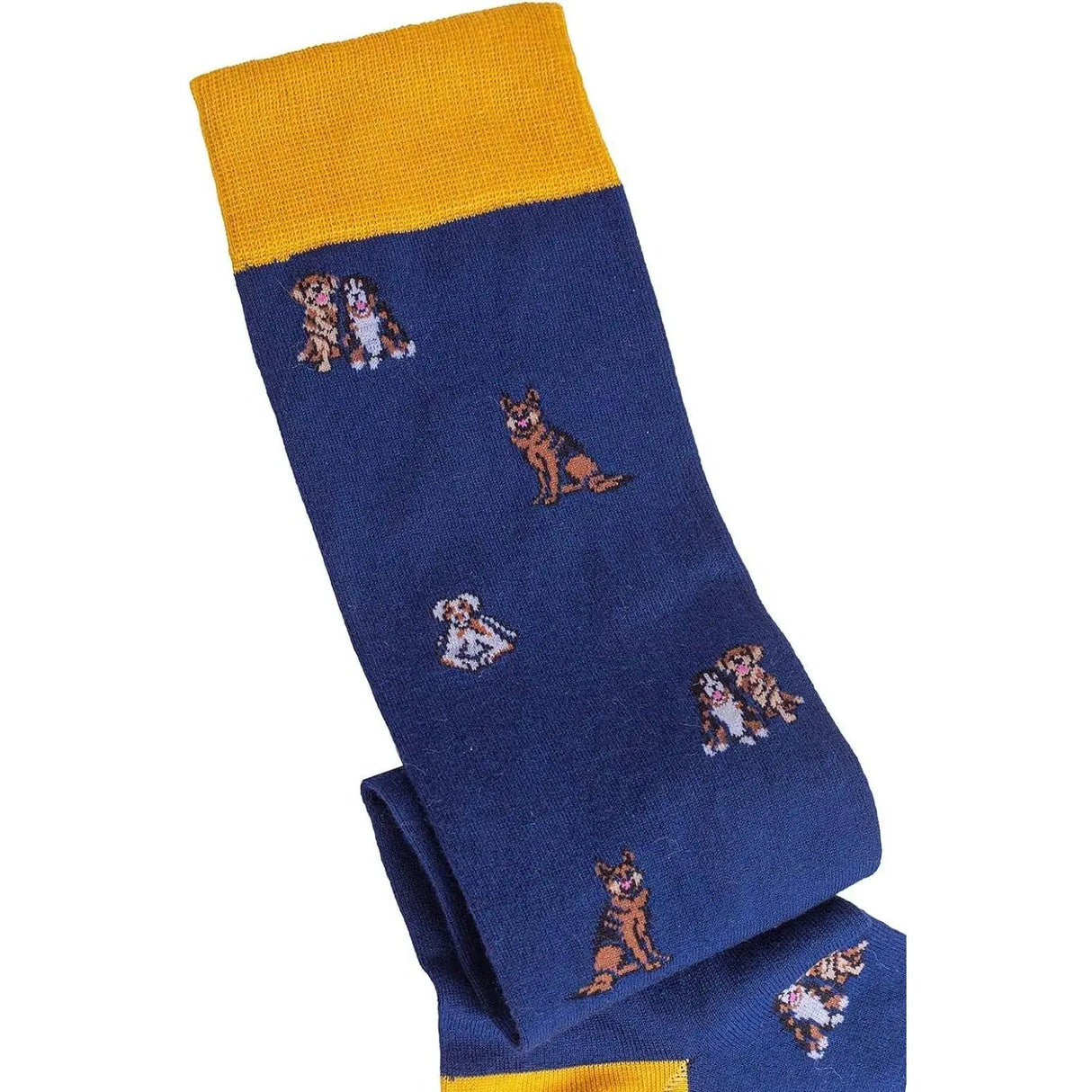 Calze GALLO Uomo LUNGO Multicolore