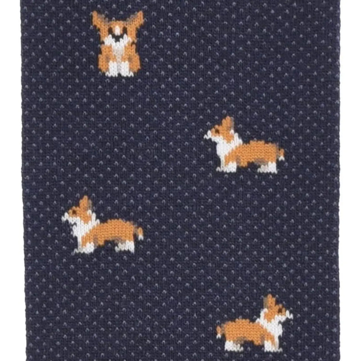 Calze RED Uomo lunga corgi Blu