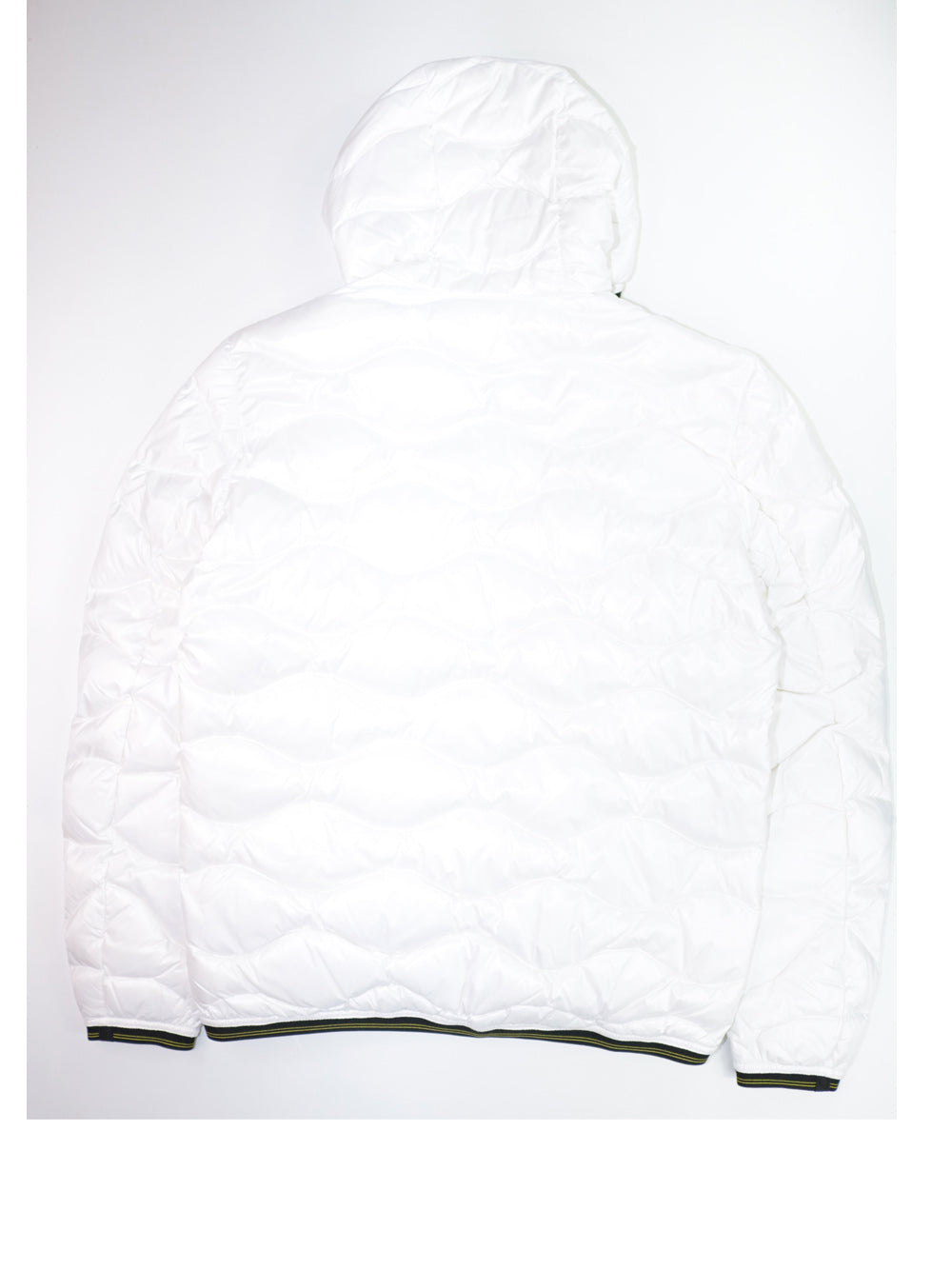 Giubbotto Blauer Uomo Wave Bianco Blauer  Angolo dello Sport