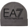 Cappello EA7 Unisex Grigio