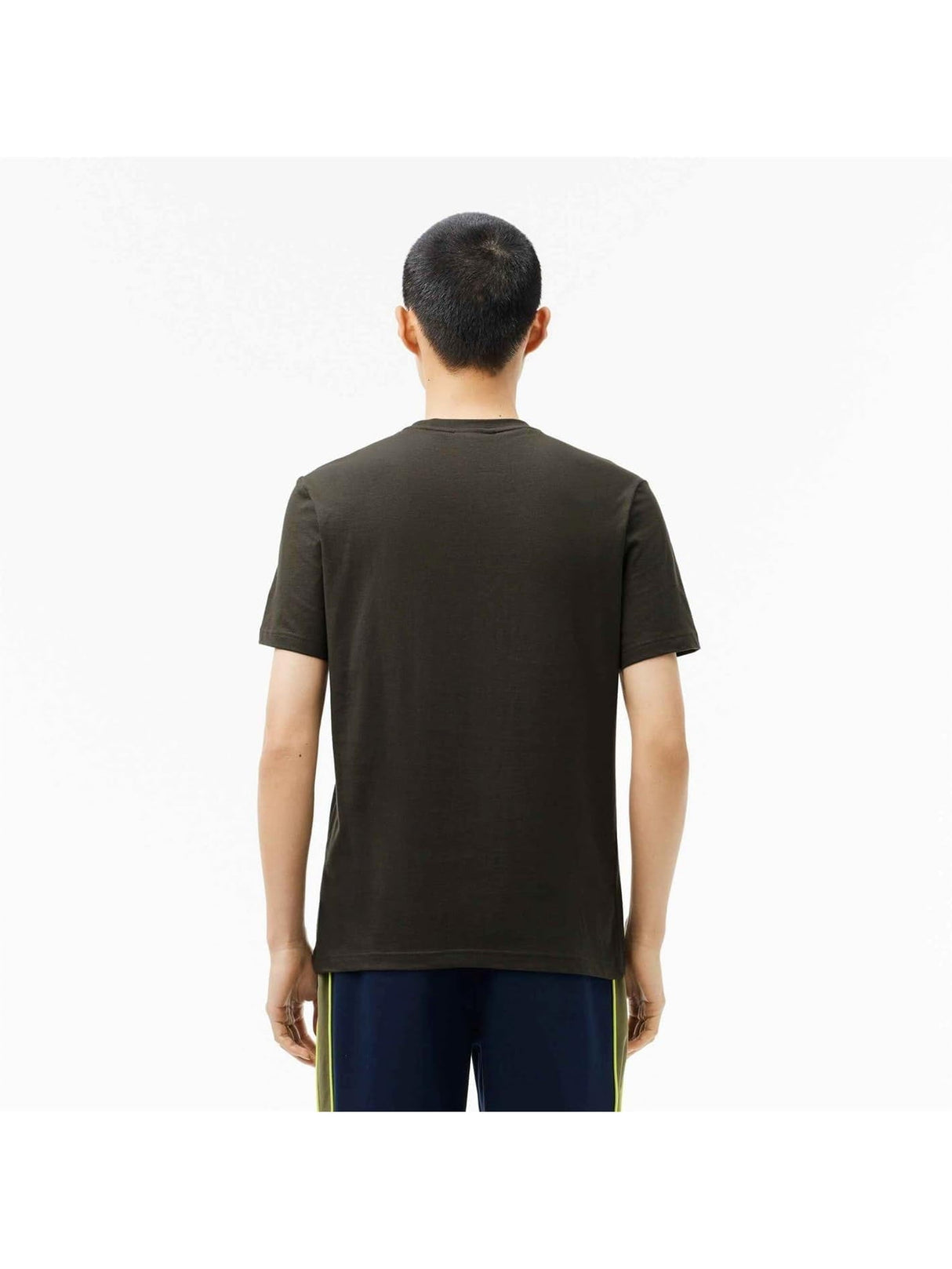 T-shirt LACOSTE Uomo Verde