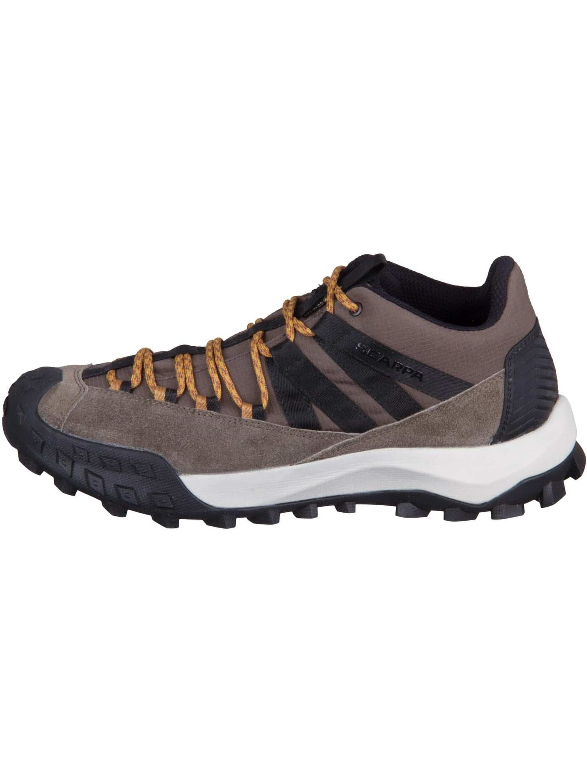 Sneakers SCARPA Uomo ROVE GTX Marrone