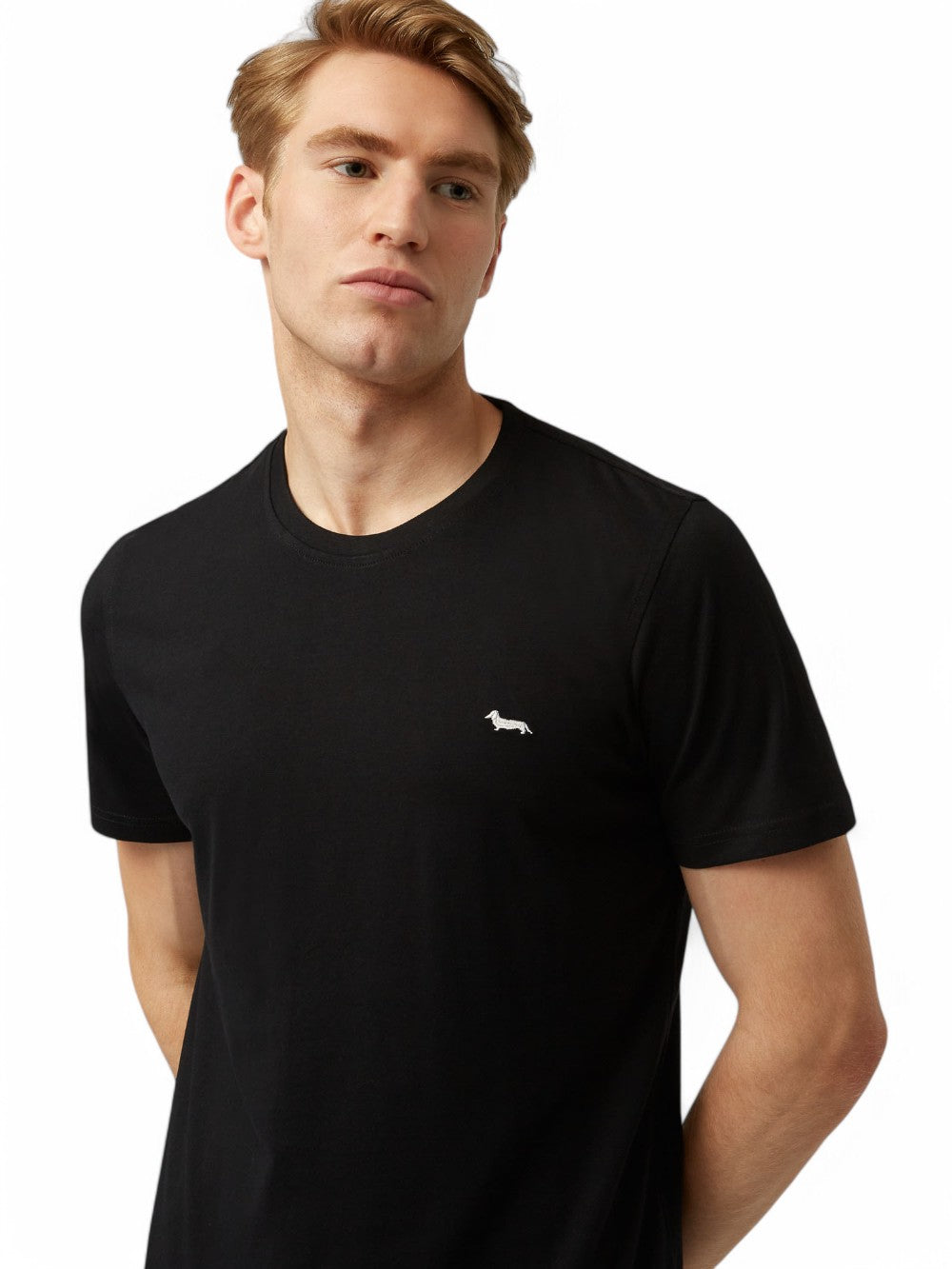 T-Shirt Harmont&blaine Uomo - Nero