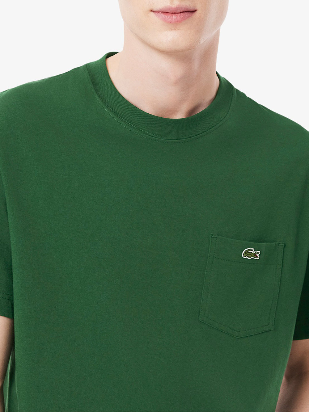 T-Shirt Lacoste Uomo - Verde