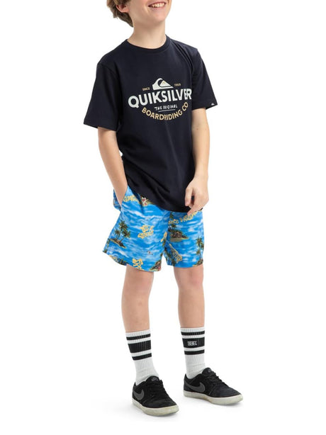 T-shirt Quicksilver Bambino - Blu