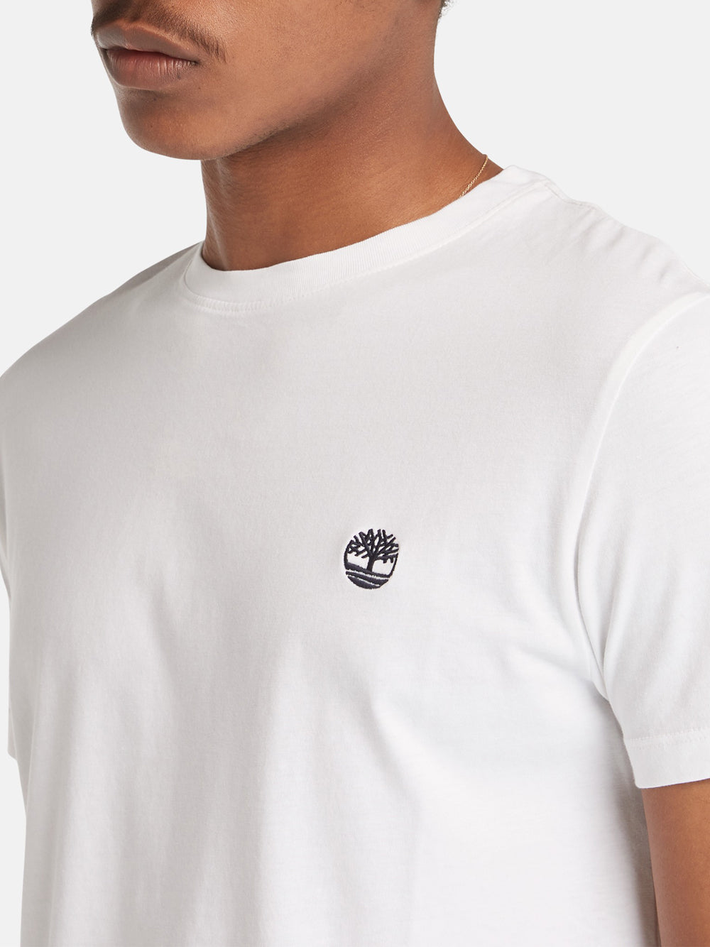 T-shirt Dunstan River Timberland Uomo