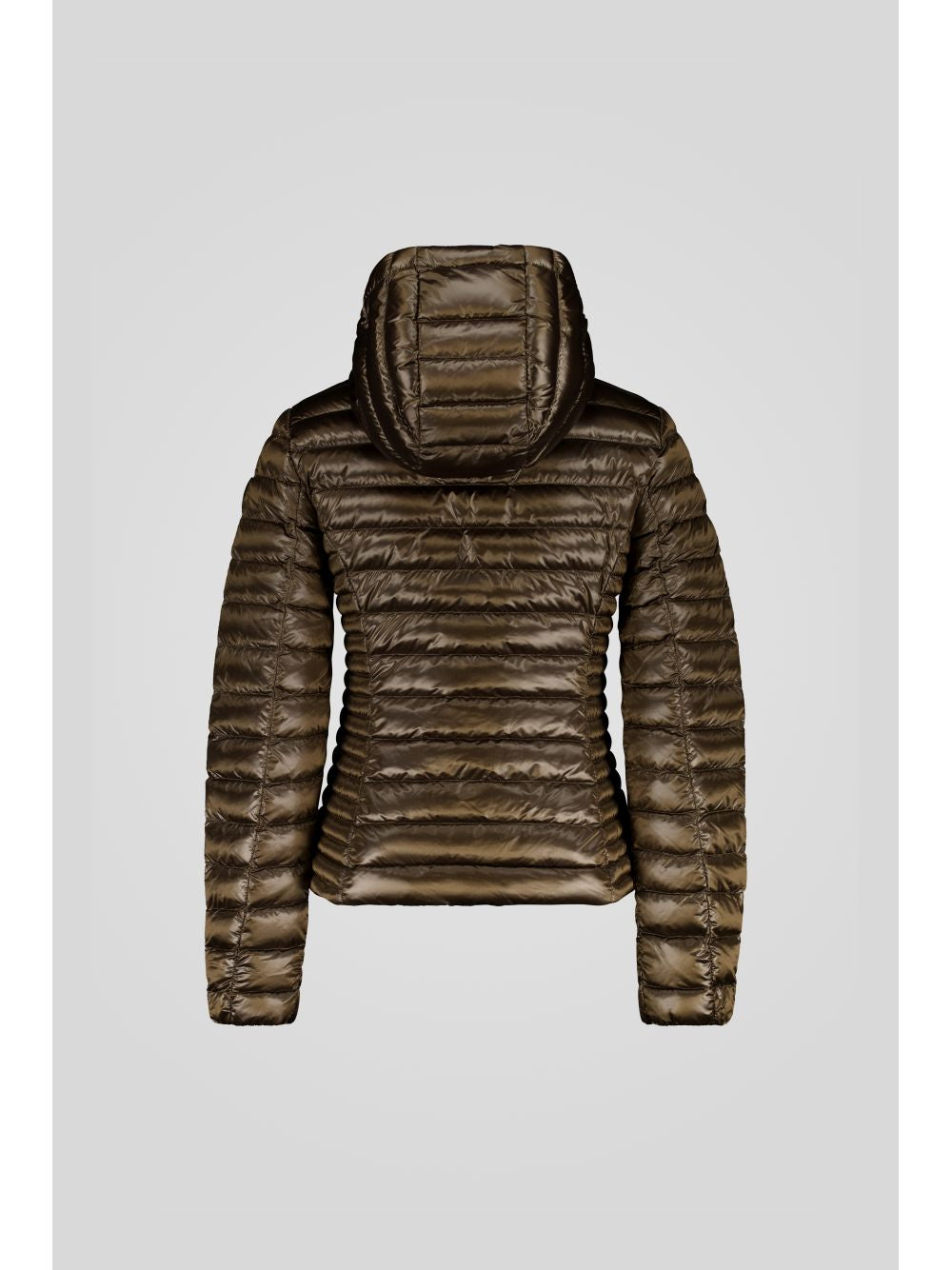 Piumino Ciesse Piumini AGHATA 2.0 Donna - Marrone