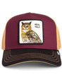 Cappello Goorin tricolor owl Unisex - Multicolore