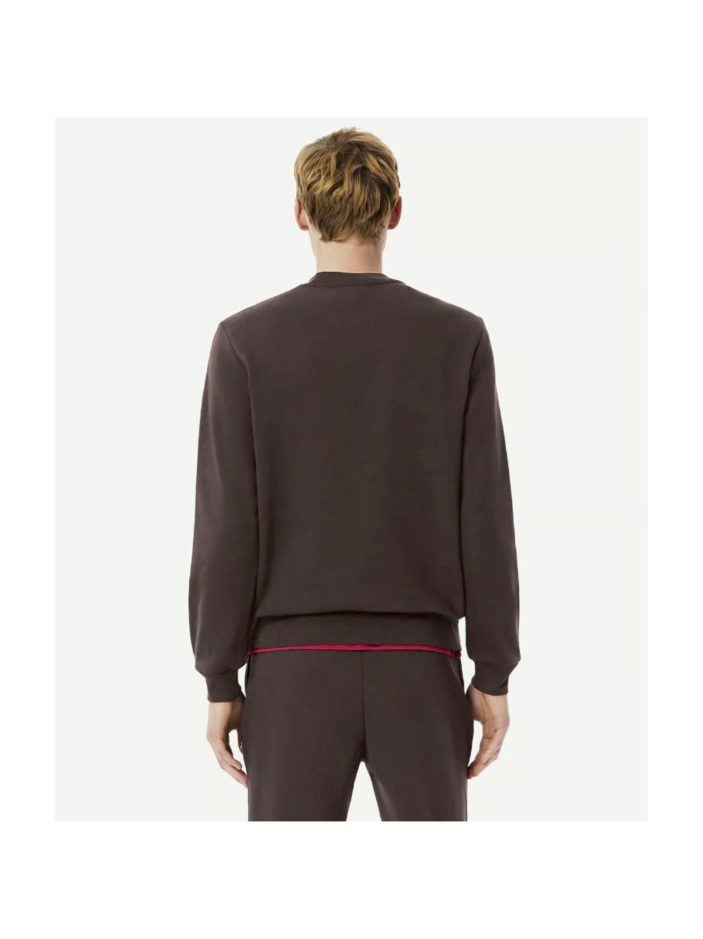 Pullover Lacoste Uomo - Marrone