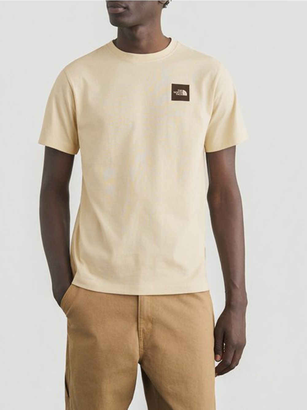T-shirt The North Face EVOLUTION BOX HALF DOME REGULAR SHORT Uomo - Avorio