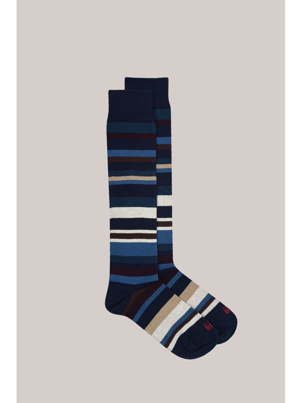 Calze In The Box STRIPE MULTICOLOR Uomo - Blu