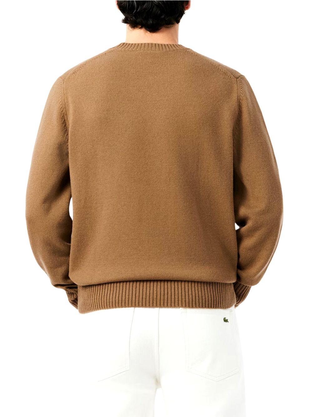 Pullover Lacoste Uomo - Cookies