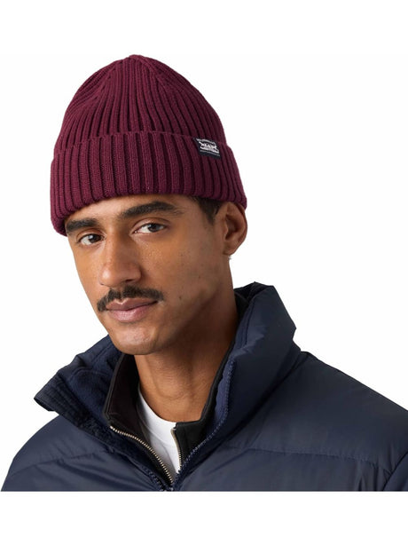Cappello Levi's SUNSET BEANIE TAWNY PORT Uomo - Viola