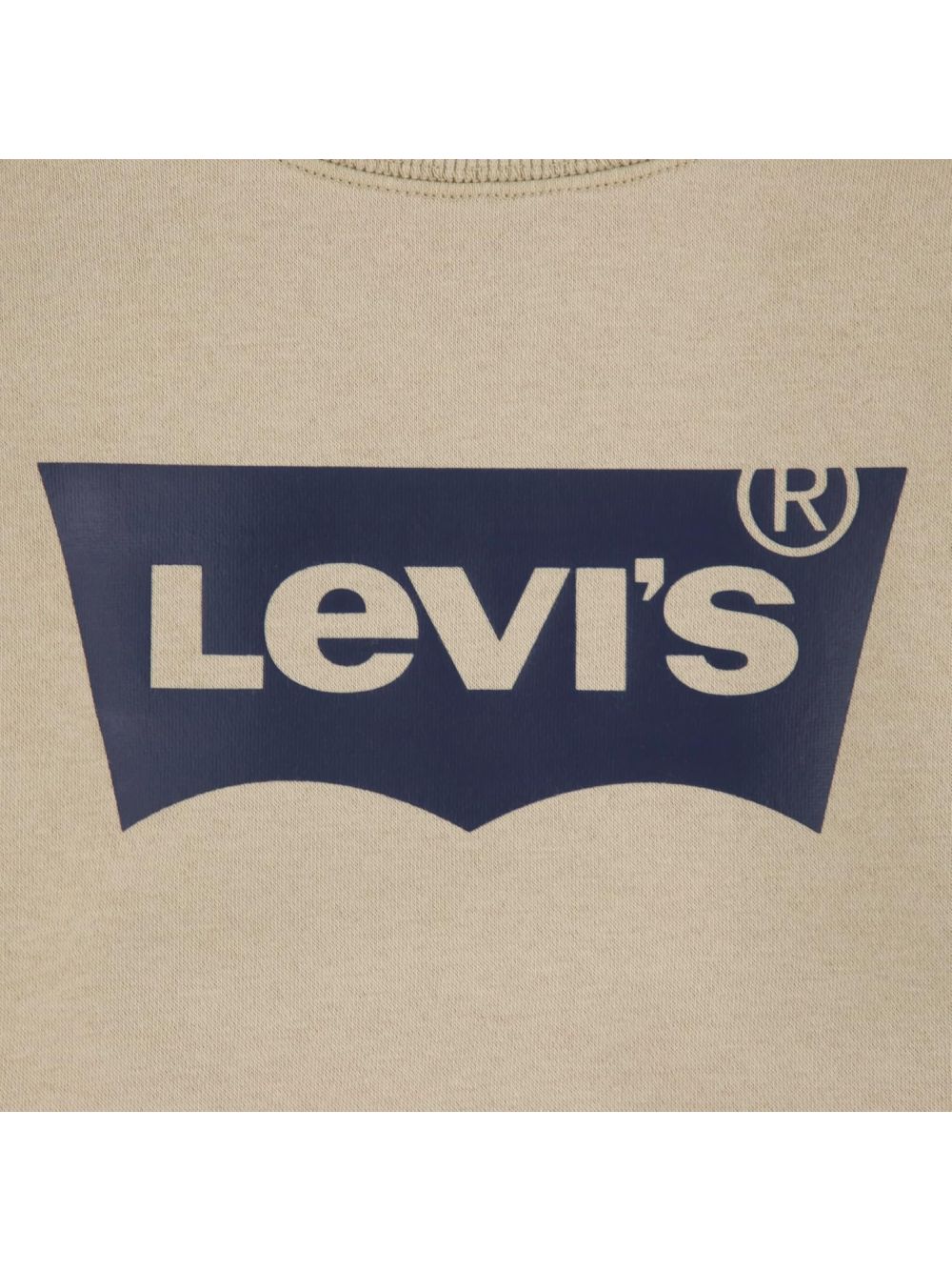 Felpa Levi's BATWING CREW Bambino - Verde