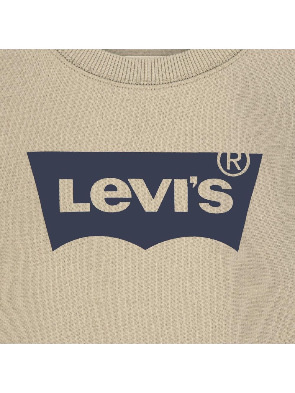 Felpa Levi's BATWING CREWNECK Bambino - Verde