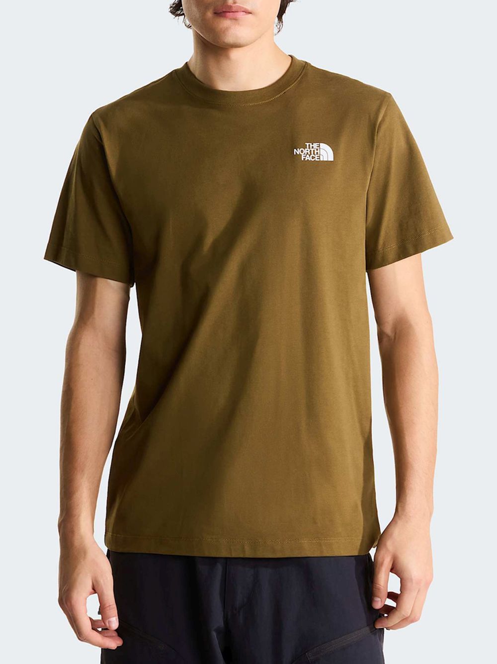 T-shirt The North Face EVO BOX NSE RE Uomo - Marrone