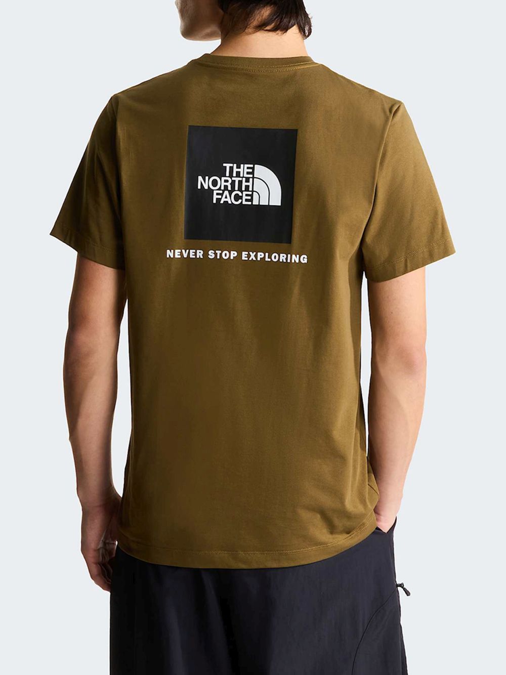 T-shirt The North Face EVO BOX NSE RE Uomo - Marrone