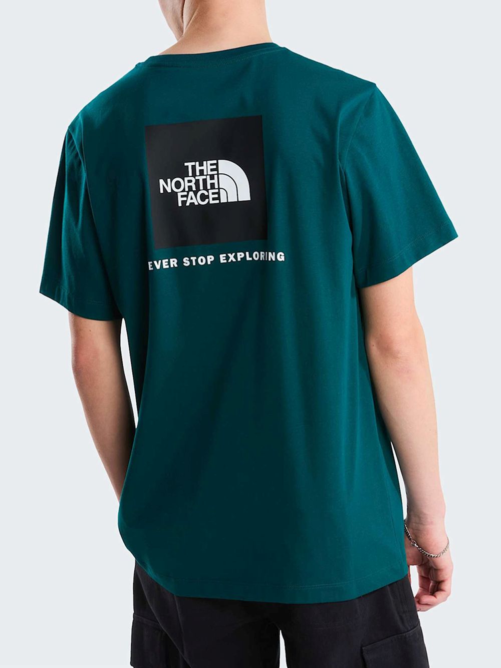 T-shirt The North Face EVO BOX NSE RE Uomo - Verde