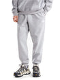 Pantalone Felpa The North Face EVO SD REG JOG Uomo - Grigio