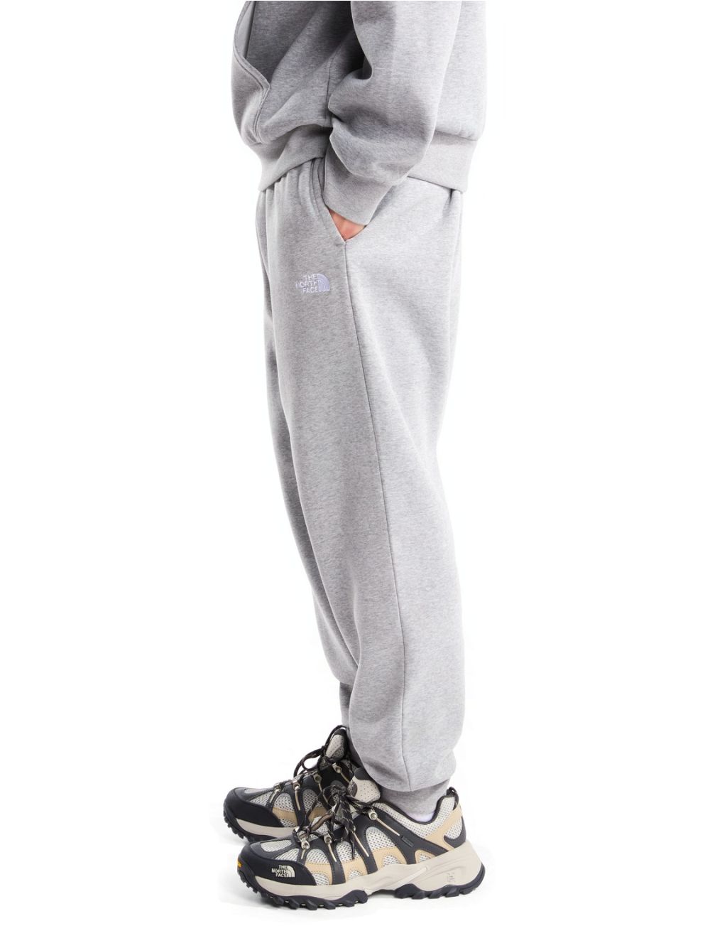 Pantalone Felpa The North Face EVO SD REG JOG Uomo - Grigio